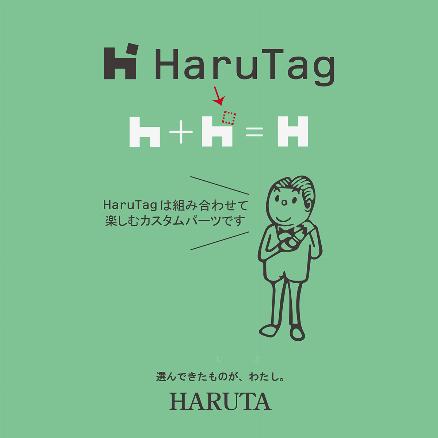 HARUTO パンフレット Datsun 510 Street Tanto V1 Hang Hau Blue Designed by Jun
