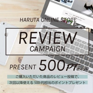 【500ポイントプレゼント】レビューキャンペーン実施中！