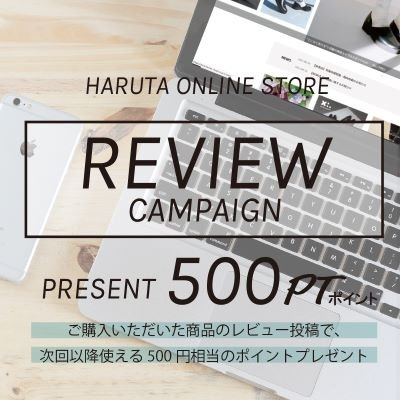【500ポイントプレゼント】レビューキャンペーン実施中！